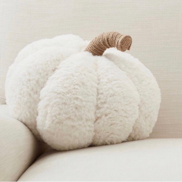 Pottery Barn Other - Pottery Barn Ivory Pumpkin Pillow